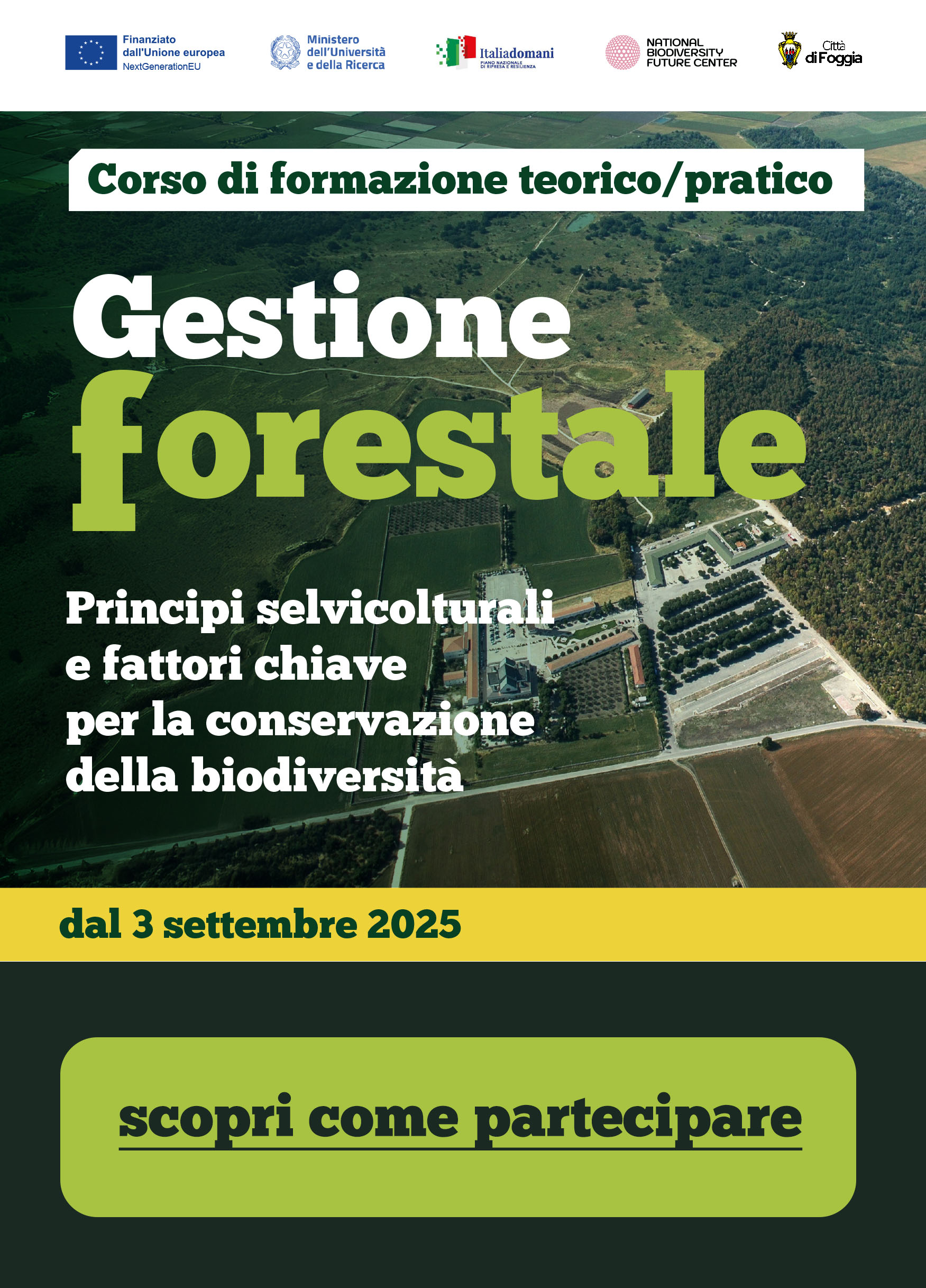 Gestione Forestale
